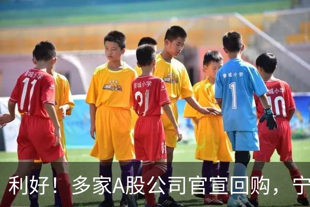 利好！多家A股公司官宣回购，宁德时代单日买入8亿元