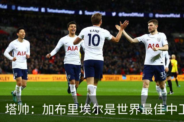 塔帅：加布里埃尔是世界最佳中卫之一，他在两个禁区的作用太强了