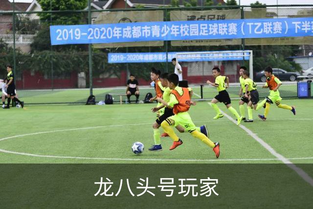 龙八头号玩家公司简介